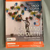 Gli snodi della storia