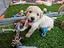 Immagine 4