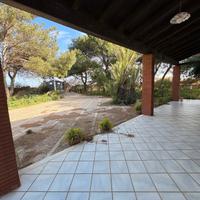 Villa con pineta a pochi metri dal mare