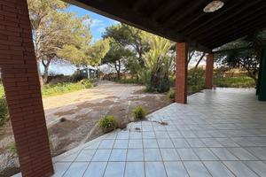 Villa con pineta a pochi metri dal mare