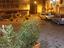 Immagine 23