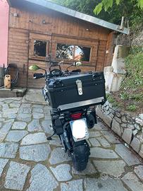 Benelli TRK 502 x
