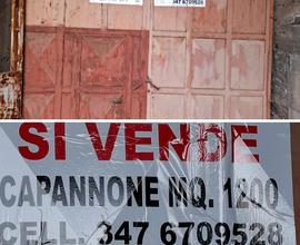 Capannone seminterrato 1200mq