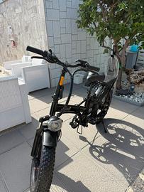 Fat bike