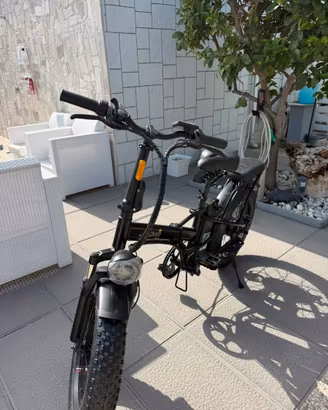Fat bike