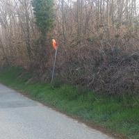 Terreno agricolo,bosco e prato
