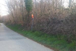 Terreno agricolo,bosco e prato
