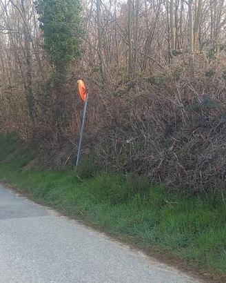 Terreno agricolo,bosco e prato