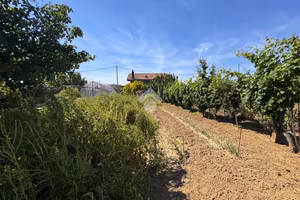 TERRENO A RIMINI