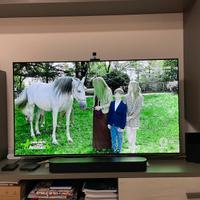 LG OLED 55” – Funzionante – Presente Burn-in