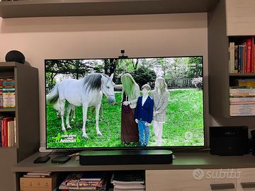 LG OLED 55” – Funzionante – Presente Burn-in