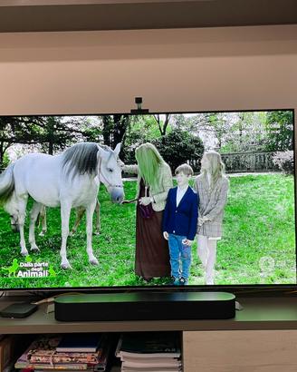 LG OLED 55” – Funzionante – Presente Burn-in