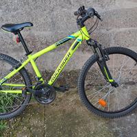 biciclette rute da 24"