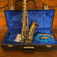 Sassofono contralto Borgani - professional