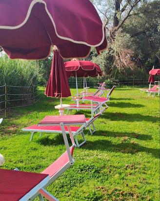ombrellone giardino 