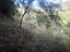 Immagine 12