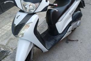 Sh 125 2010