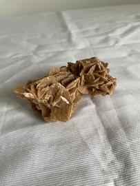 Rosa del deserto media