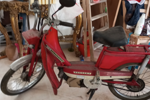 Cycles Peugeot 102