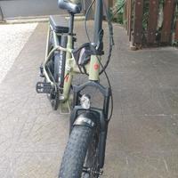 Bicicletta elettrica 