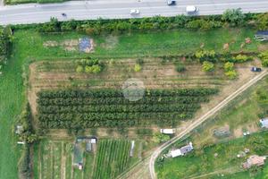 TER. AGRICOLO A CONCESIO