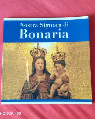 libro storia della statua della Madonna di bon