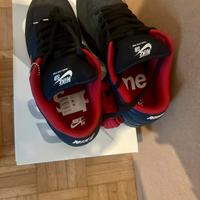 Nike dunk sb x supreme