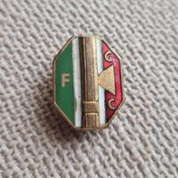 Spilla Distintivo Fascismo Fascista FGC Mussolini