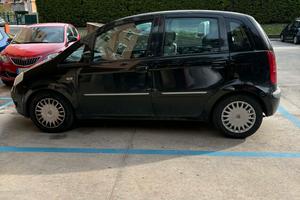 Lancia musa 