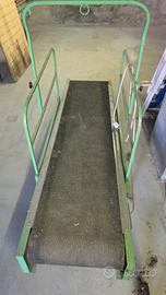 Tapis roulant per Cani 2 mt