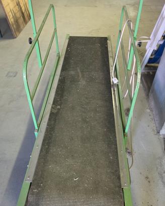 Tapis roulant per Cani 2 mt