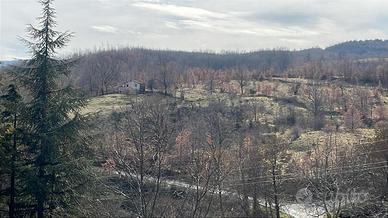 Terreno recintato