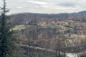 Terreno recintato
