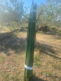 Canne di bambu