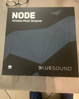 Streamer dac blue sound