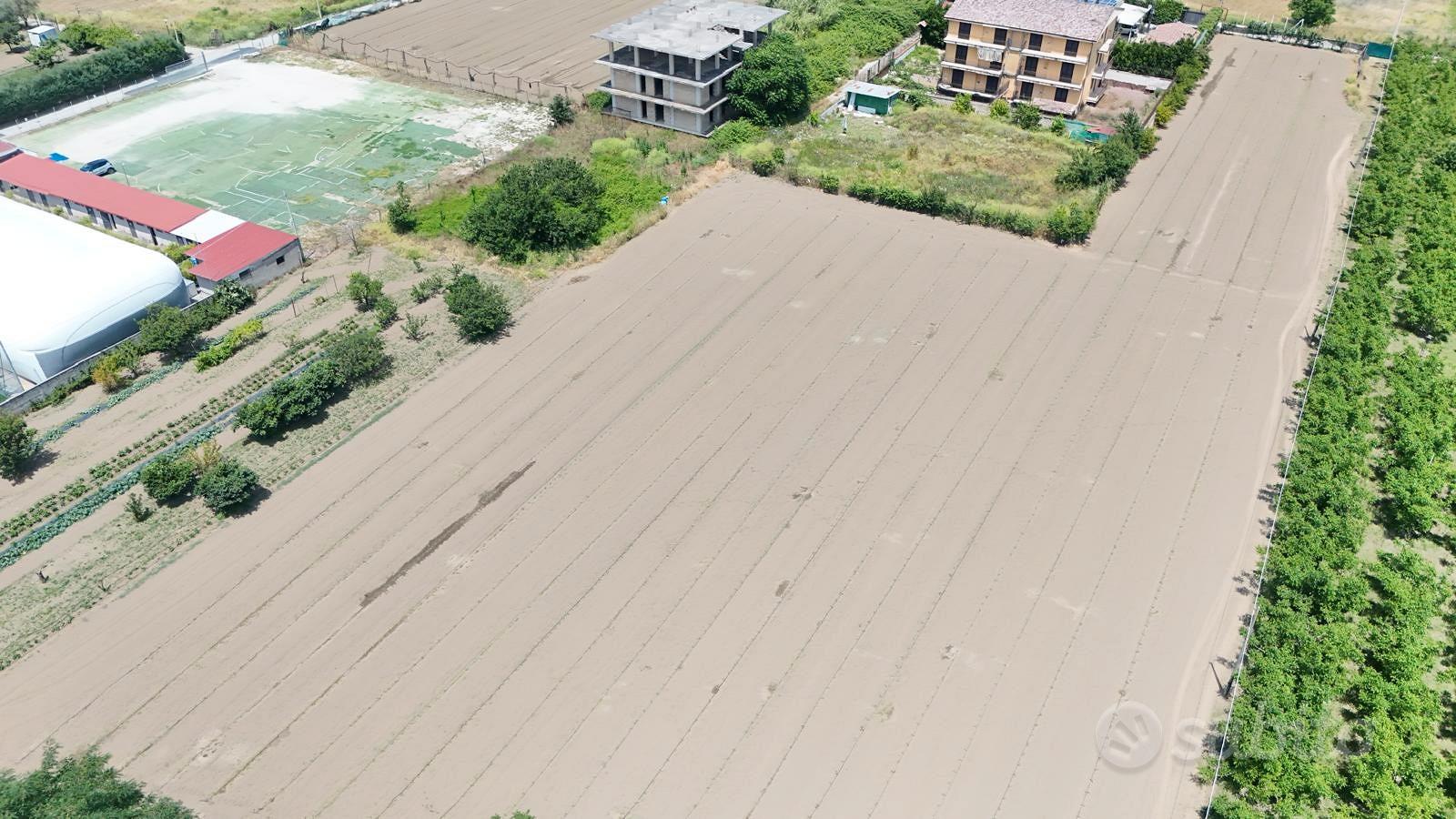 Terreno agricolo destinazione e1 - 9190mq - Vista 3