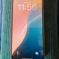 iPhone 12 Pro Max 256GB