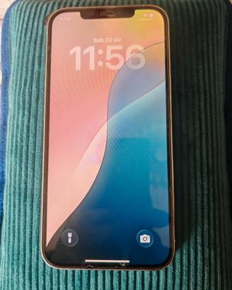 iPhone 12 Pro Max 256GB