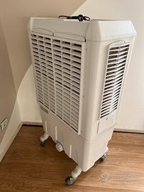 Raffrescatore portatile BC60