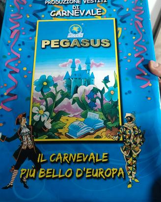 vestito carnevale 