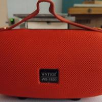 Cassa portatile wireless WSTER