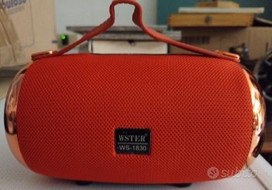 Cassa portatile wireless WSTER