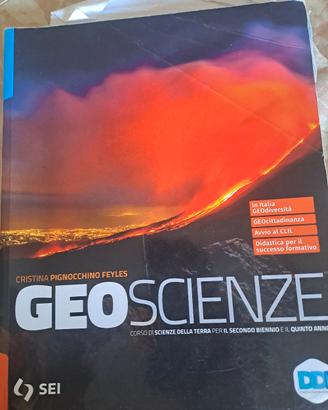 GEOSCIENZE 9788805078523
