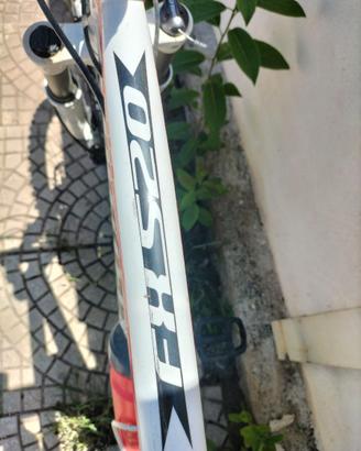 Bici bottecchia FX 520