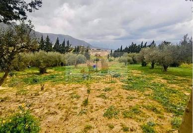 Terreno di 2600 m² a Alcamo