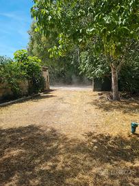 Terreno agricolo SABAUDIA