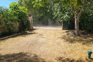 Terreno agricolo SABAUDIA