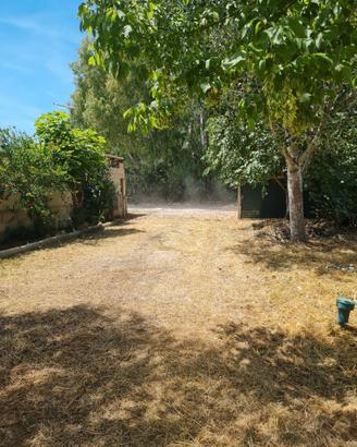 Terreno agricolo SABAUDIA