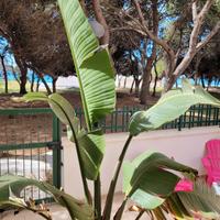 Fronte mare mensile da ottobre a maggio compreso