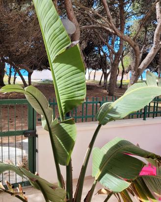 Fronte mare mensile da ottobre a maggio compreso